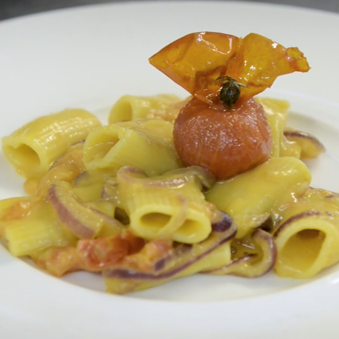 Pasta Sonoma Rigatoni Rigate with Fava Bean Purée